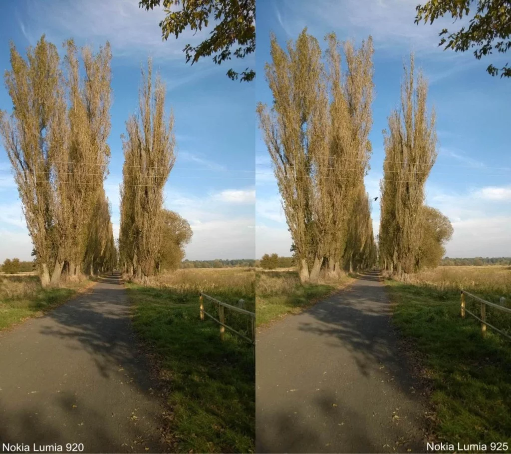 WP_20141005_15_52_42_Pro-horz