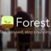 Forest: Stay focused – teraz łatwiej się skupić