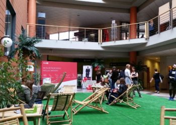 Łódź Jungle Web 2015 | Relacja