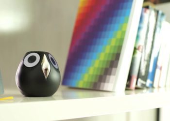 Ulo – sowa, która widzi wszystko