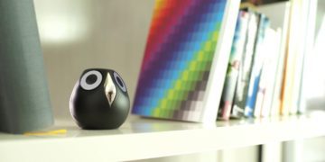 Ulo – sowa, która widzi wszystko